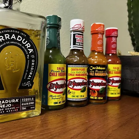 Alojamento de Acomodação e Pequeno-almoço Condesa 3*